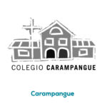 Viaje de Estudio Colegio Carampangue