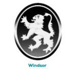 Viaje de Estudio Colegio Windsor